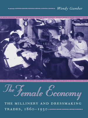 cover image of The Female Economy